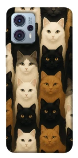 Чохол на Motorola Moto G23 Colorful Cat Collage фото 1 Чохол на Motorola Moto G23 Colorful Cat Collage фото 1 з 1