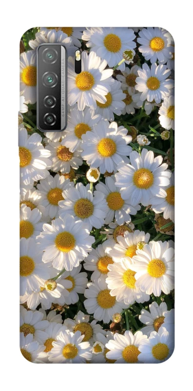 Чехол на Huawei Nova 7 SE Поле ромашек фото 1 из 1