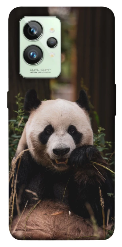 Чехол на Realme GT2 Панда фото 1 из 1