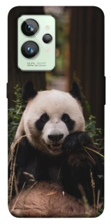 Чохол на Realme GT2 Панда фото 1 з 1