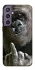 Чехол на Samsung Galaxy S23 FE Surprise фото 1 из 1