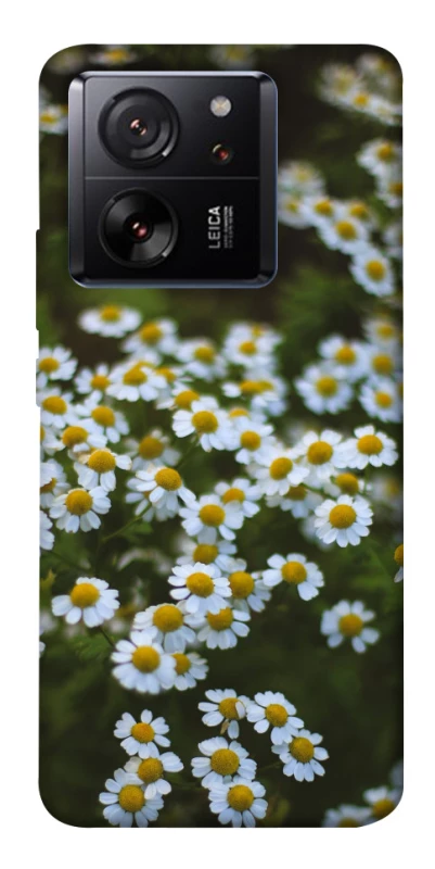 Чехол на Xiaomi 13T Ромашки v13 фото 1 из 1