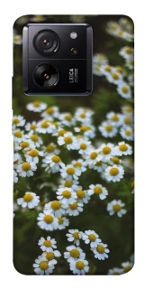Чехол на Xiaomi 13T Ромашки v13 фото 1 из 1