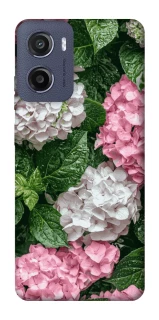 Чехол на Motorola Moto G05 Secret Garden фото 1 из 1