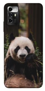 Чехол на ZTE Blade V40 Vita Панда фото 1 из 1