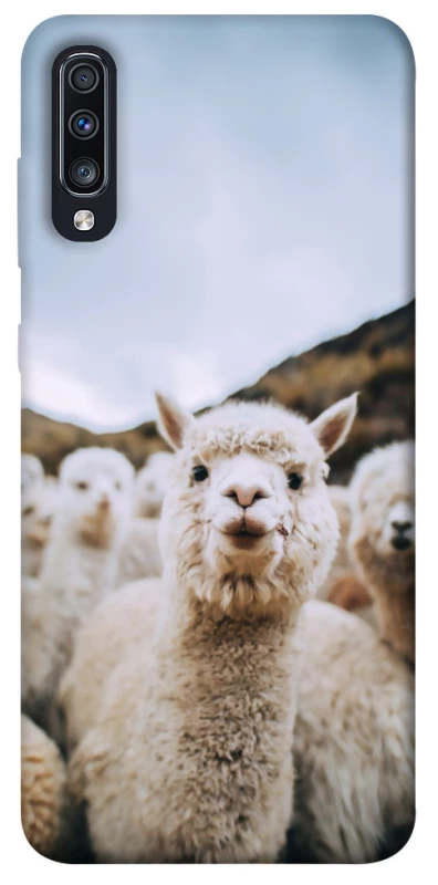Чохол на Samsung Galaxy A70 (A705F) Лама фото 1 з 1