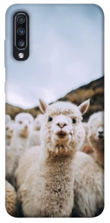 Чохол на Samsung Galaxy A70 (A705F) Лама фото 1 з 1