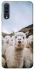 Чохол на Samsung Galaxy A70 (A705F) Лама фото 1 з 1