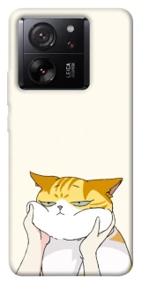 Чехол на Xiaomi 13T Pro Cat bun фото 1 Чехол на Xiaomi 13T Pro Cat bun фото 1 из 1