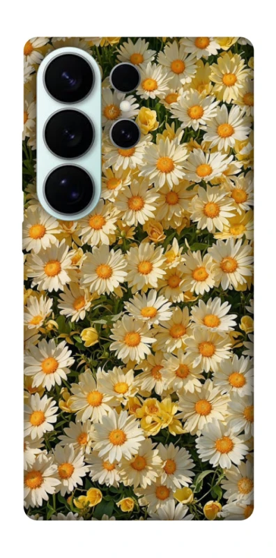 Чохол на Samsung Galaxy S26 Ultra Camomile фото 1 з 1