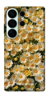 Чехол на Samsung Galaxy S26 Ultra Camomile фото 1 из 1