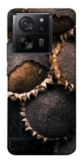 Чехол на Xiaomi 13T Dreams2 фото 1 из 1