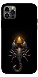 Чехол на Apple iPhone 12 Pro (6.1") Scorpio with Golden Triangle фото 1 из 1