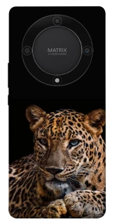 Чохол на Huawei Magic5 Lite Leopard v4 фото 1 з 1