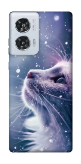 Чохол на Motorola Edge 50 Fusion Snow cat фото 1 з 1