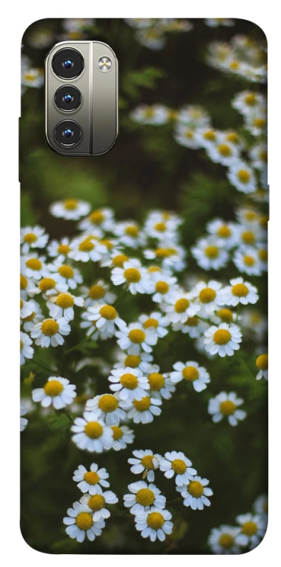 Чохол на Nokia G11 Ромашки v13 фото 1 з 1