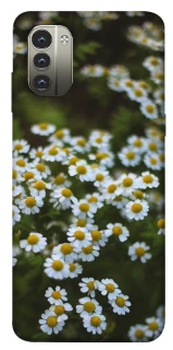 Чехол на Nokia G11 Ромашки v13 фото 1 из 1
