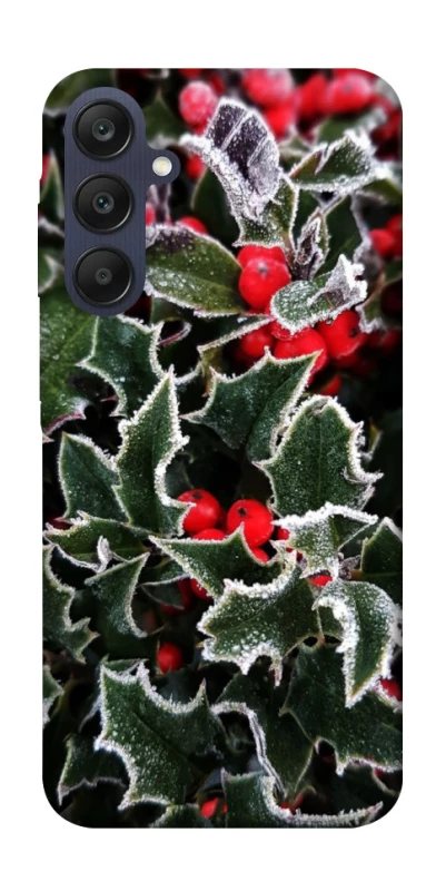 Чохол на Samsung Galaxy A25 5G Новорічний v32 фото 1 з 1