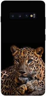 Чохол на Samsung Galaxy S10+ Leopard v4 фото 1 з 1