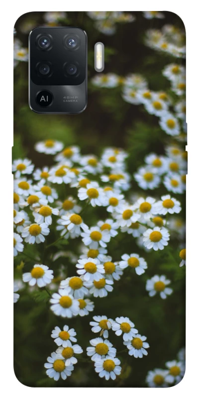 Чехол на Oppo Reno 5 Lite Ромашки v13 фото 1 из 1