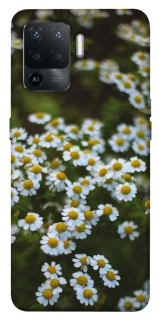 Чехол на Oppo Reno 5 Lite Ромашки v13 фото 1 из 1
