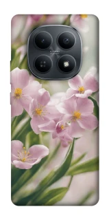 Чохол на Xiaomi Redmi Note 15 4G/5G (EU) Spring фото 1 з 1