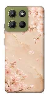 Чехол на Motorola Moto G15 4G Sakura ver.2 фото 1 из 1