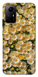 Чехол на Xiaomi Redmi Note 12S Camomile фото 1 из 1