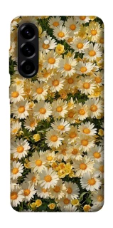 Чехол на Samsung Galaxy A56 5G Camomile фото 1 из 1