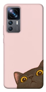 Чохол на Xiaomi 12T / 12T Pro Peeping cat фото 1 з 1