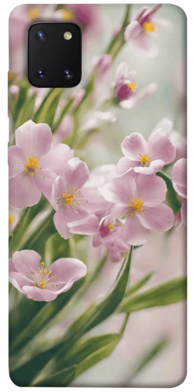 Чехол на Samsung Galaxy Note 10 Lite (A81) Spring фото 1 из 1