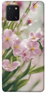 Чехол на Samsung Galaxy Note 10 Lite (A81) Spring фото 1 из 1