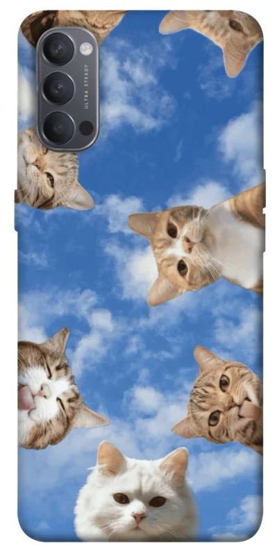 Чохол на Oppo Reno 4 Сats фото 1 з 1