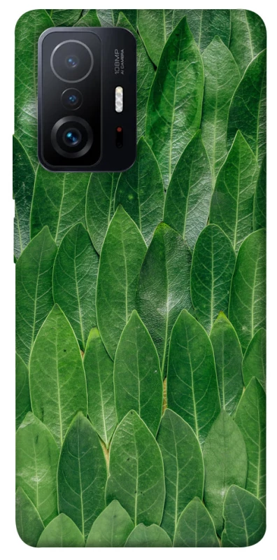 Чохол на Xiaomi 11T / 11T Pro Листя фото 1 з 1