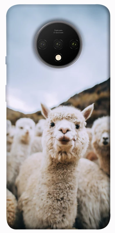 Чехол на OnePlus 7T Лама фото 1 из 1