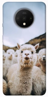Чохол на OnePlus 7T Лама фото 1 з 1