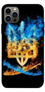 Чехол на Apple iPhone 12 Pro (6.1") Герб v16 фото 1 из 1