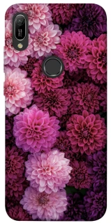 Чохол на Huawei Y6 (2019) Garden1 фото 1 з 1