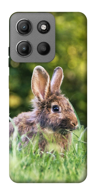 Чехол на Motorola Moto G15 Power Кролики фото 1 из 1