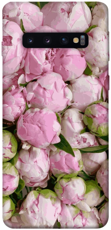 Чохол на Samsung Galaxy S10 Nature’s Elegance фото 1 з 1