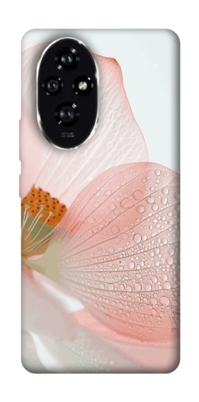 Чохол на Honor 200 Flowers zon фото 1 з 1