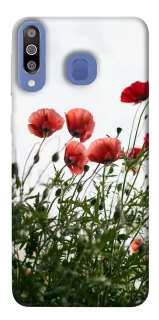 Чохол на Samsung Galaxy M30 Поле маків фото 1 з 1