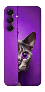 Чохол на Samsung Galaxy A17 4G/5G Кіт-підглядач фото 1 з 1