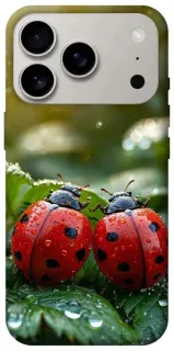 Чохол на Apple iPhone 18 Pro Flowers v23 фото 1 з 2
