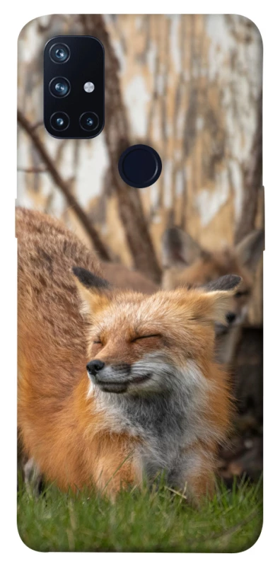 Чехол на OnePlus Nord N10 5G Лиса фото 1 из 1