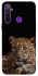 Чохол на Realme 5 Leopard v4 фото 1 з 1