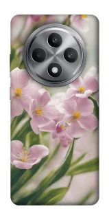 Чохол на Oppo Reno 12 F 4G Spring фото 1 з 1