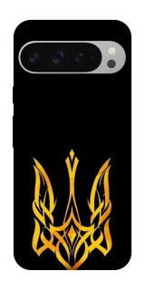 Чохол на Google Pixel 9 Pro XL Герб України v3 фото 1 з 1