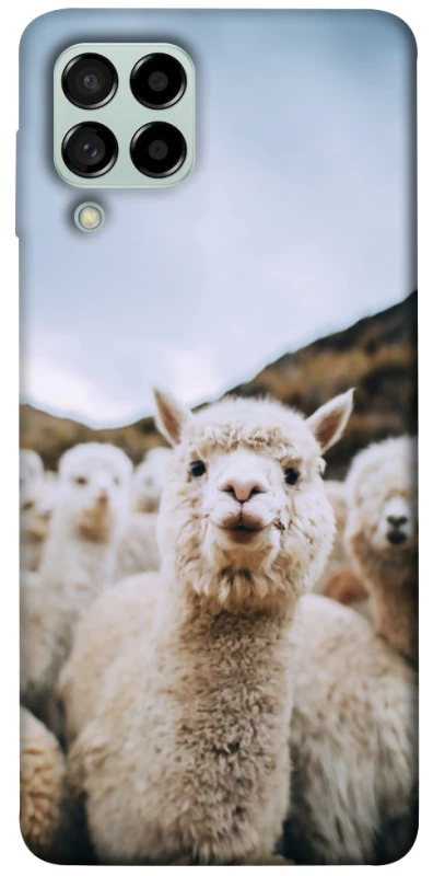 Чехол на Samsung Galaxy M53 5G Лама фото 1 из 1