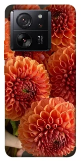 Чехол на Xiaomi 13T Pro Flower1 фото 1 из 1